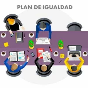 Técnico Profesional en Implantación de Planes de Igualdad en la Empresa