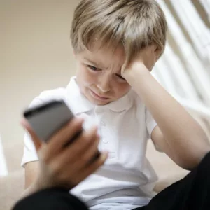 Ciberbullying: Cómo Detectar, Prevenir y Combatir el Acoso en Línea (45h) 100% on line
